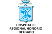CAS HOSPITAL HONORIO DELGADO