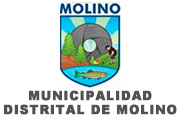 CAS MUNICIPALIDAD DISTRITAL DE MOLINO