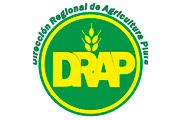 CAS DIRECCION REGIONAL AGRICULTURA PIURA