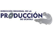 CAS DIRECCIÓN DE LA PRODUCCIÓN UCAYALI