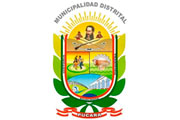 CAS MUNICIPALIDAD PUCARÁ - HUANCAYO